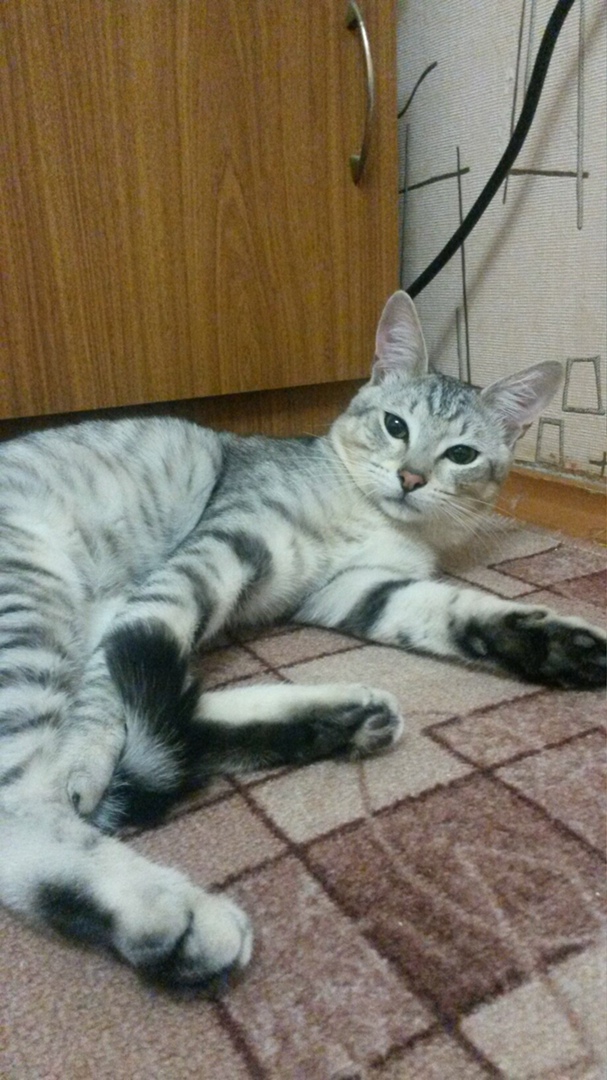 Виктория Ершова | Пенза