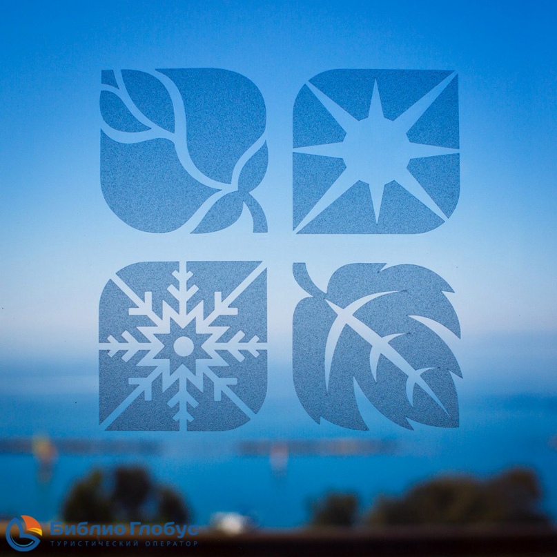 Александра Доценко | Санкт-Петербург