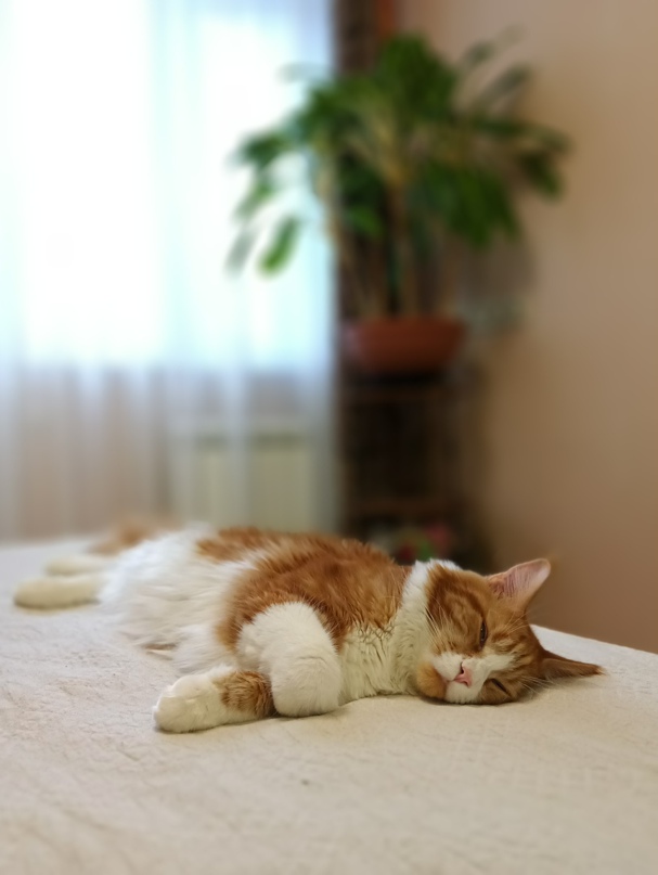 Екатерина Иконникова *Robin* | Москва