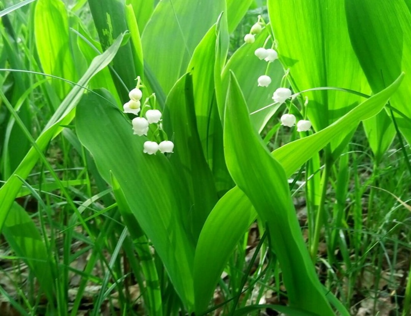 Юлия Васина | Москва