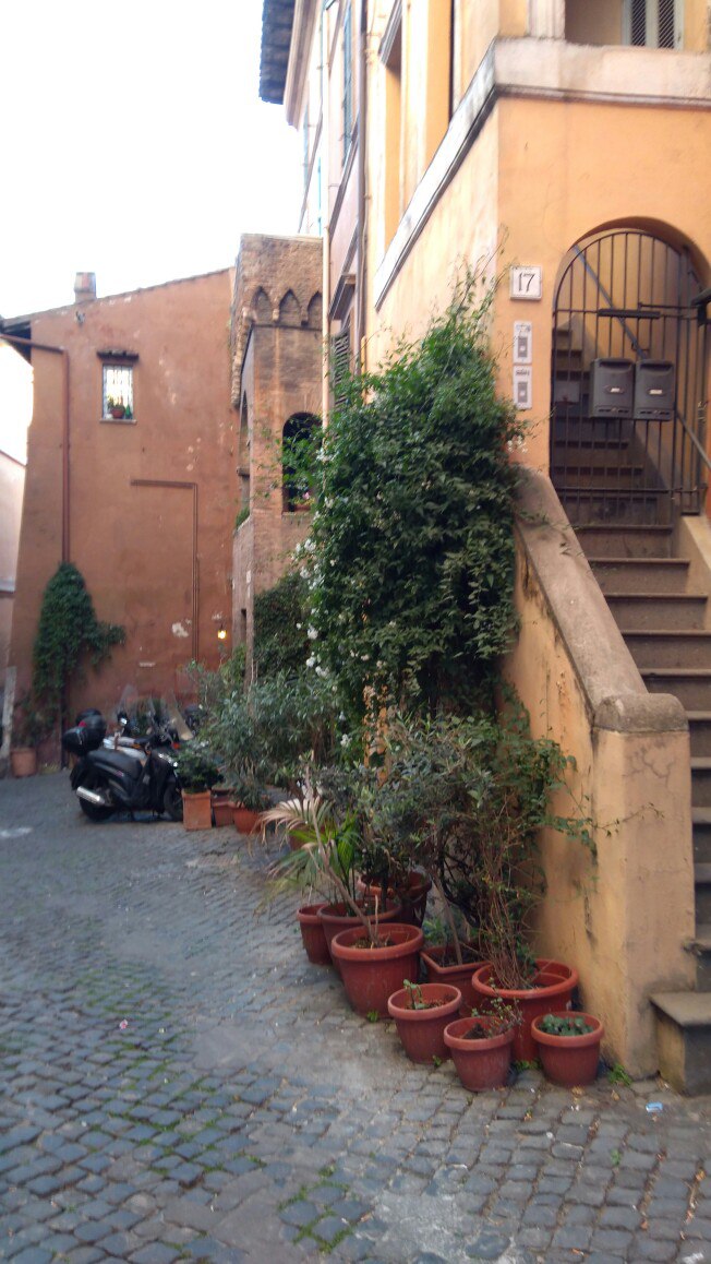 Илья Рябов | Санкт-Петербург