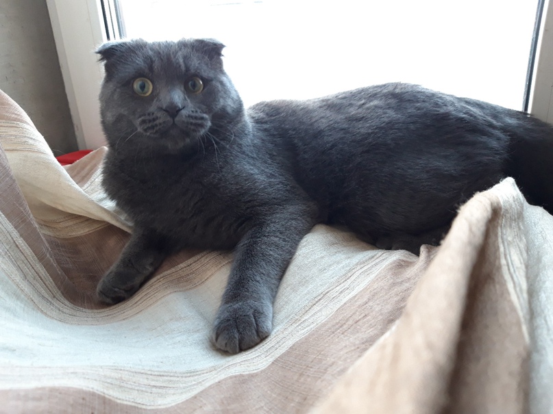 Алексей Вяткин | Пермь