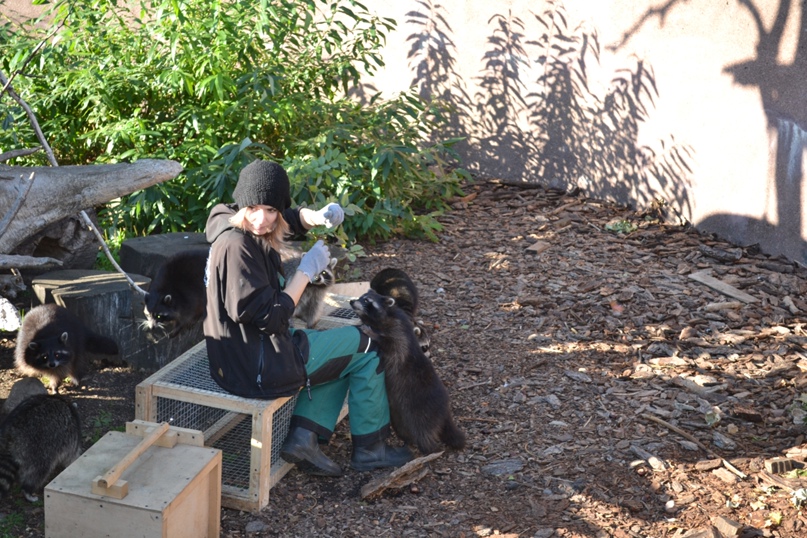 Елизавета Кузьмина | Калининград