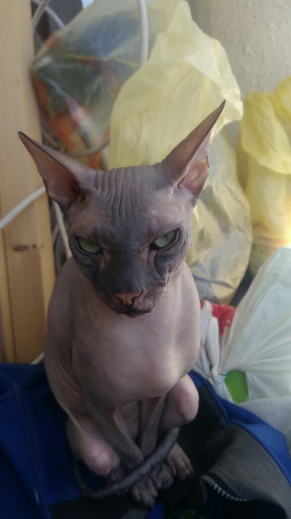 Марина Буравлева | Челябинск