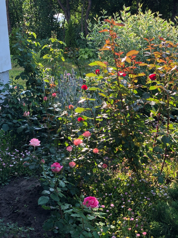 Юлия Двуреченская | Липецк