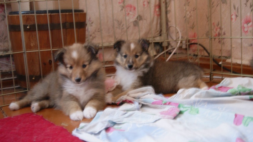 Наталия Боровкова | Санкт-Петербург