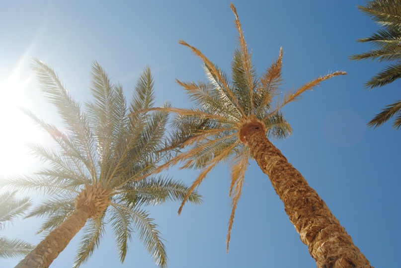 Евгений Корякин Александрович | Москва