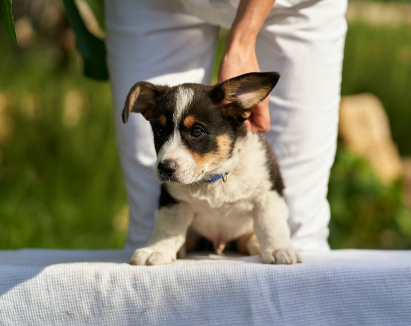 Алевтина Кузнецова | Москва