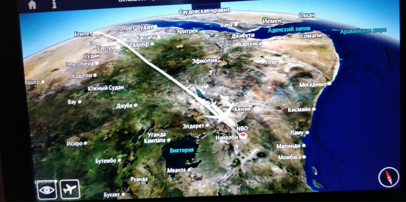 Дмитрий Елфимов | Волгоград