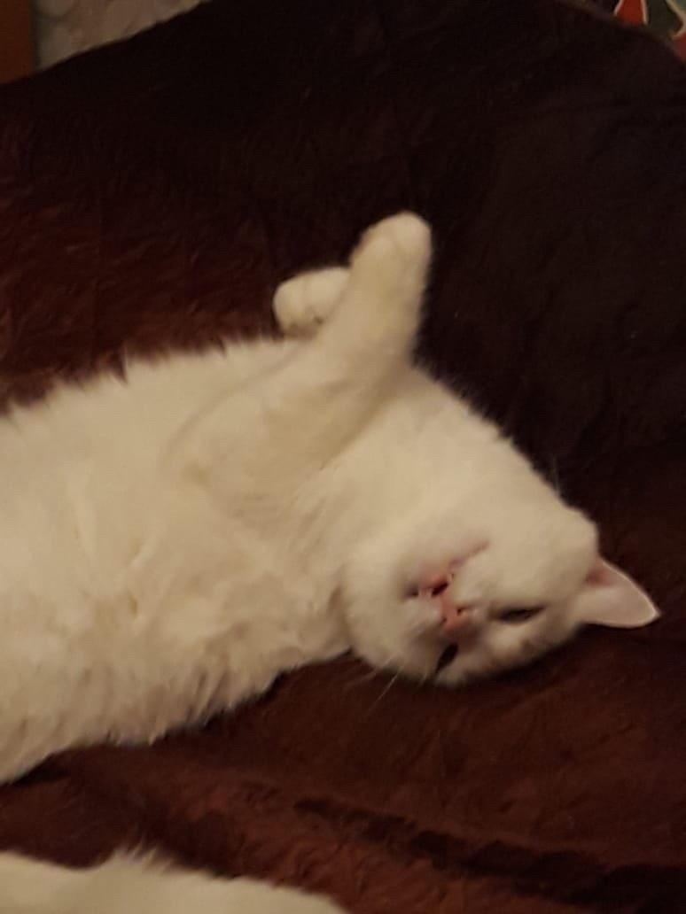 Екатерина Марченко ♥Капля света♥ | Ярославль