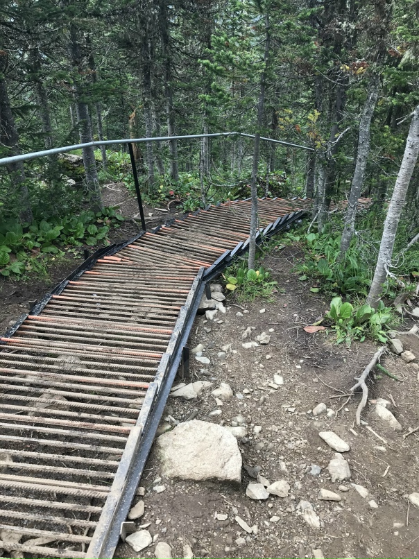 Евгений Скрябин | Новосибирск