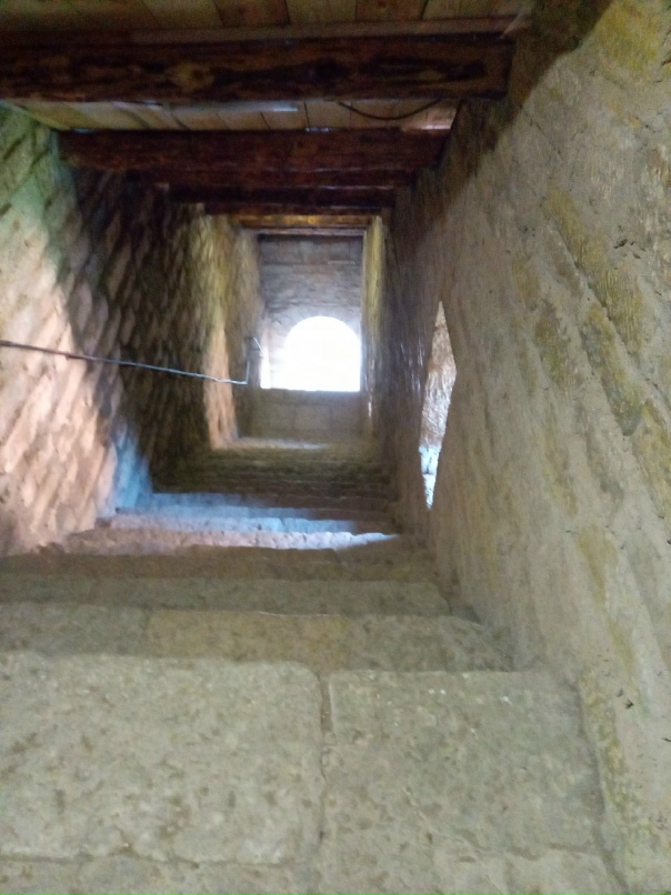 Алексей Потехин | Санкт-Петербург