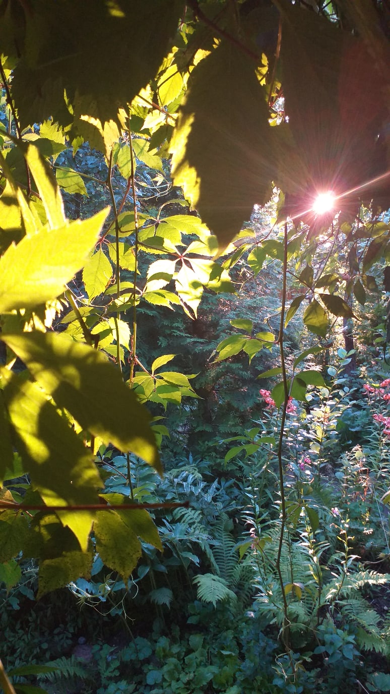 Наталия Грищенко | Псков