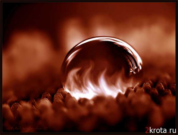 Татьяна Тарабрина | Новосибирск