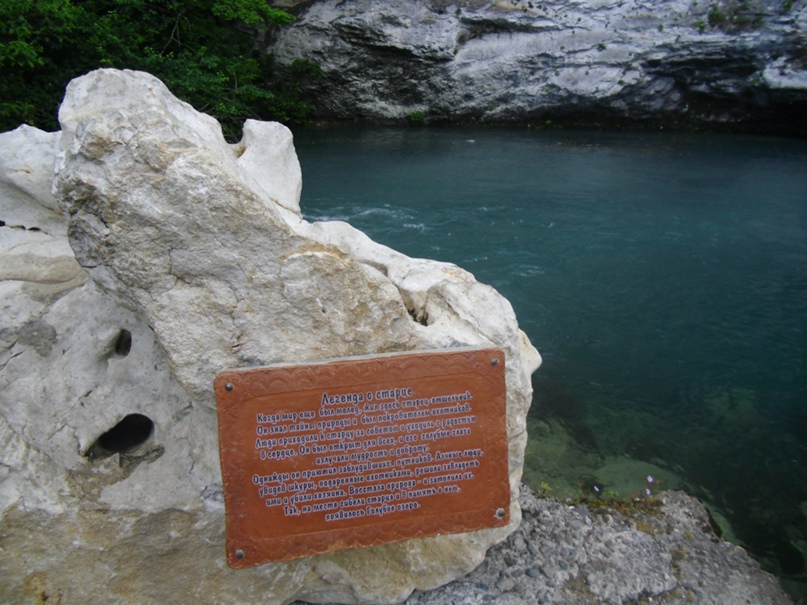 Ольга Абдулаева | Брянск