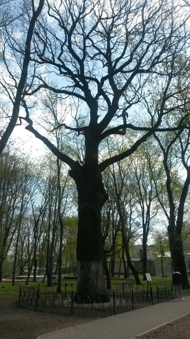 Татьяна Рябова | Киров