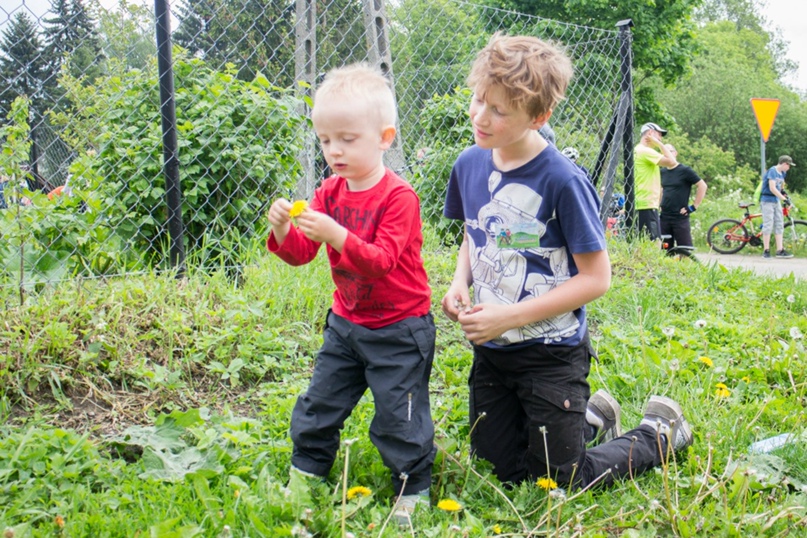 Ирина Михалёва ОГРОМНОЕ СОЛНЦЕ | Калининград