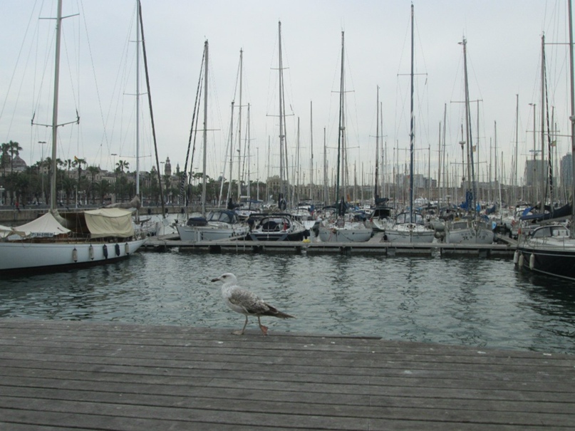 Юлия Карелина | Красноярск