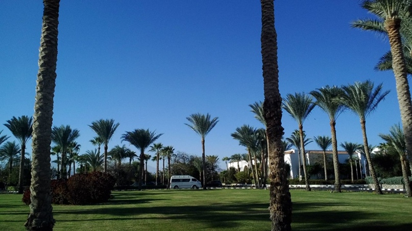 Наталия Николенко |