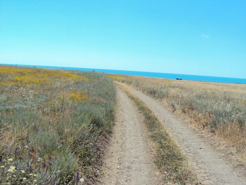 Михаил Пашков | Воронеж