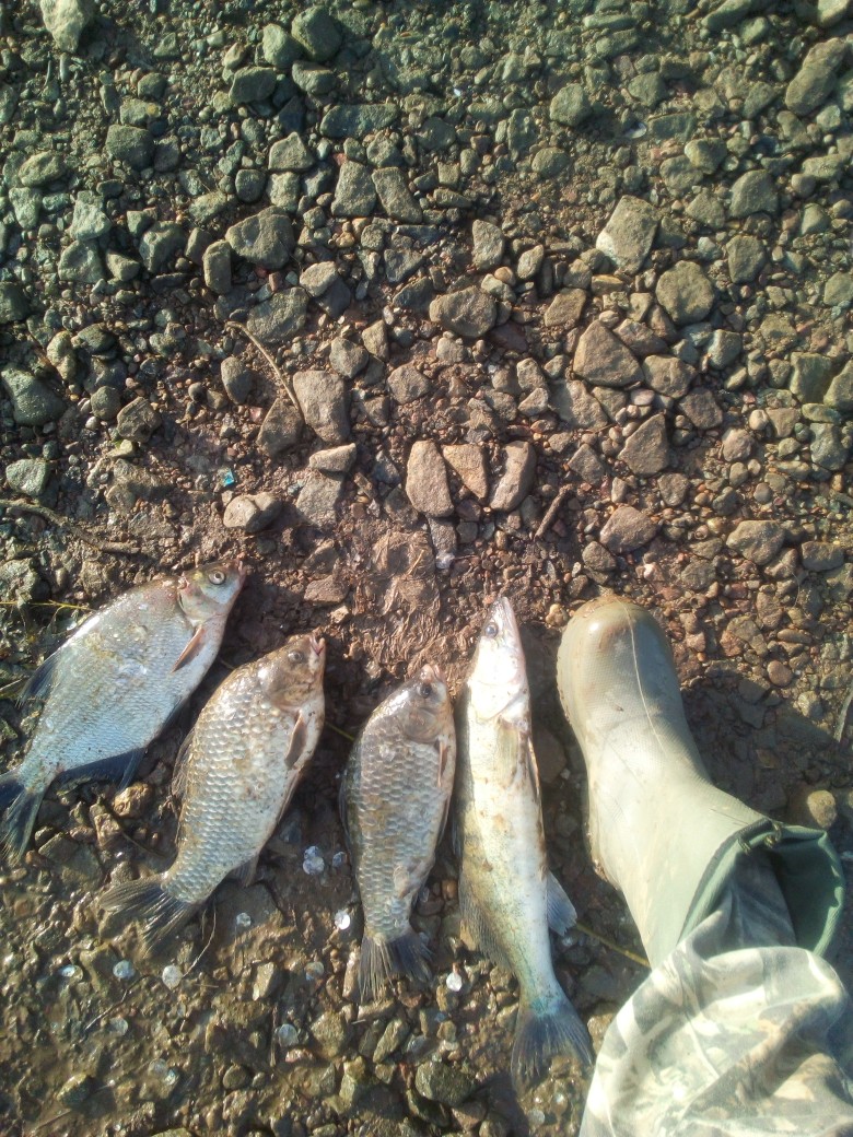 Марат Гильфанов | Киров