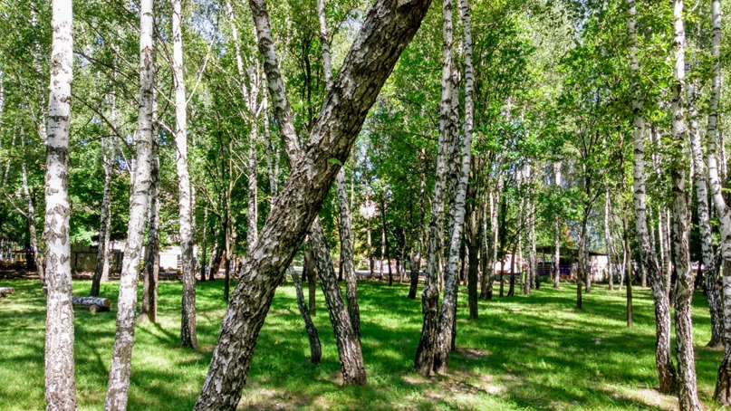 Сергей Добролюбов | Чернигов