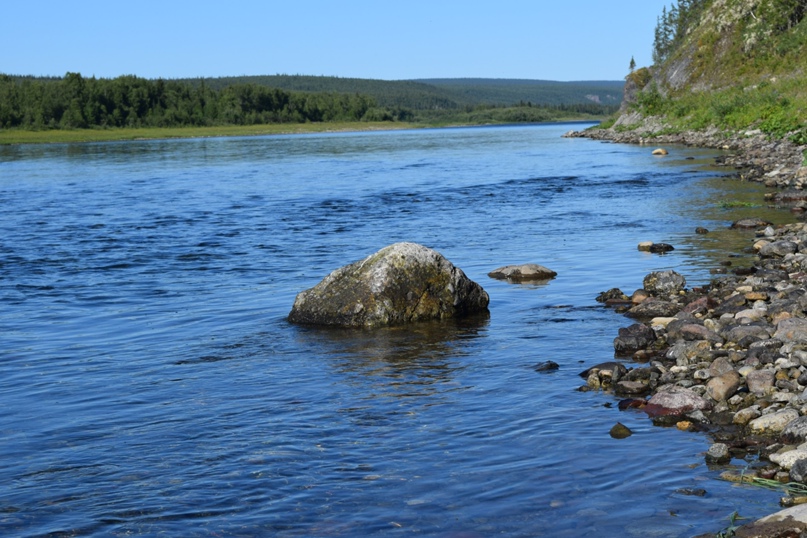 Дмитрий Гришечко | Омск