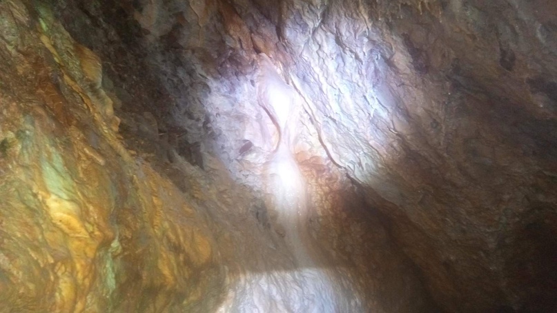 Дмитрий Бураков | Красноярск