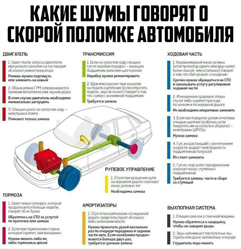 Евгений Савченко | Мурманск