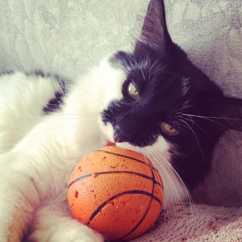 Мария Колпакова | Чебоксары