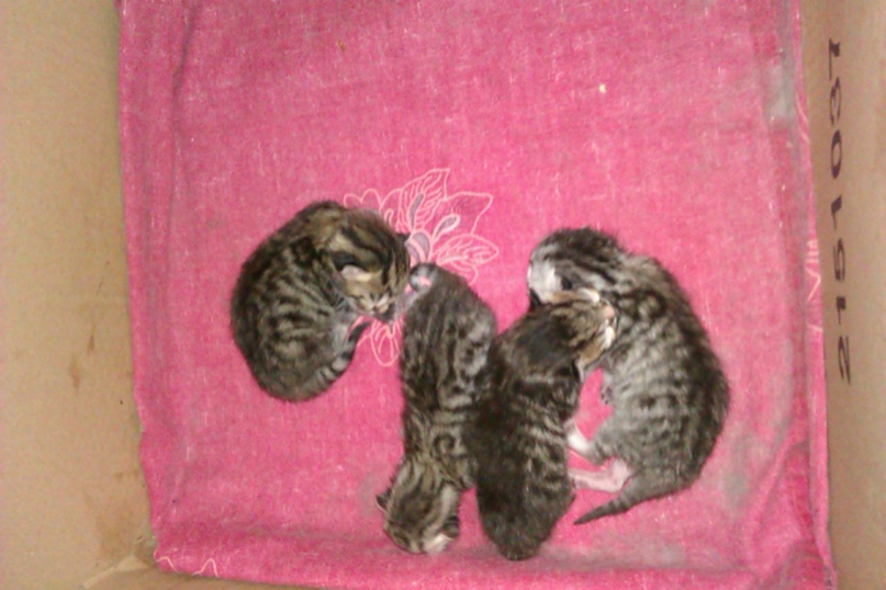 Макс Петров Li@M | Москва