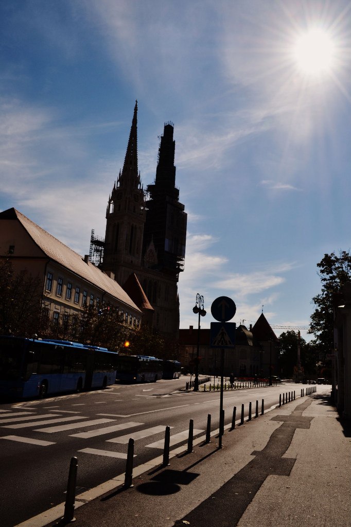 Дарья Шарыгина |