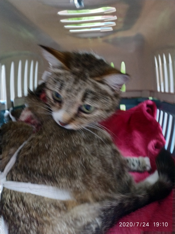 Елена Сивцова | Витебск