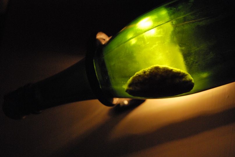 Макс Захаров | Челябинск