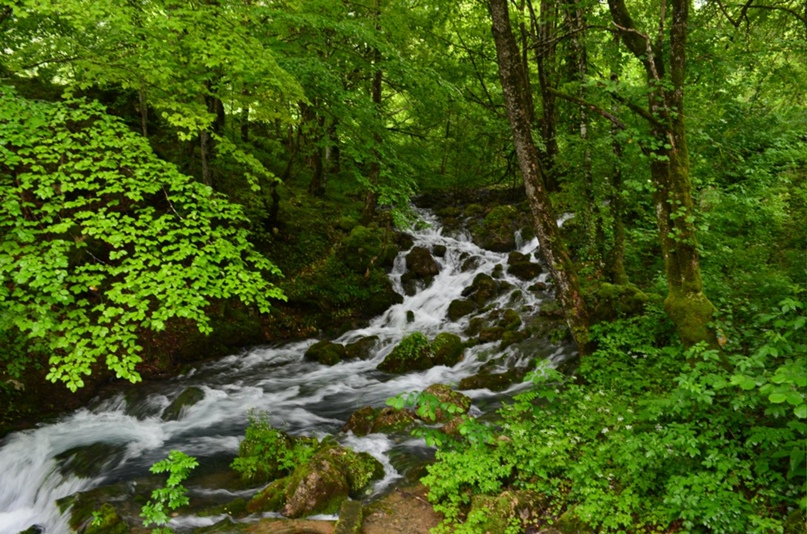 Юлия Терехова | Самара