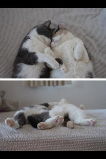 Сергей Глебов | Ярославль