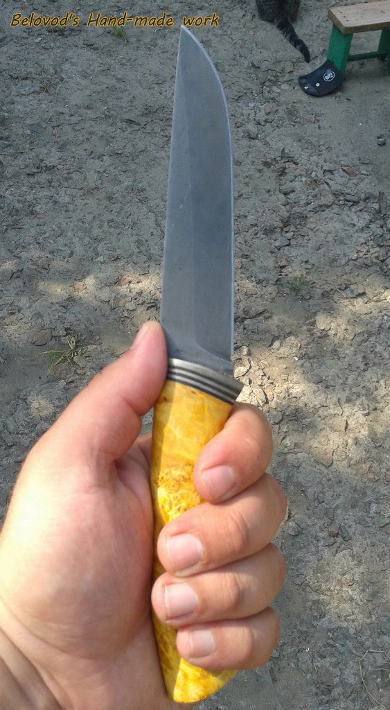 Александр Белоус | Царичанка