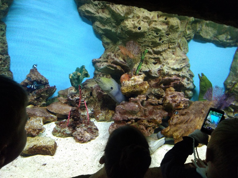 Михаил Крапивин miha_aramil | Арамиль