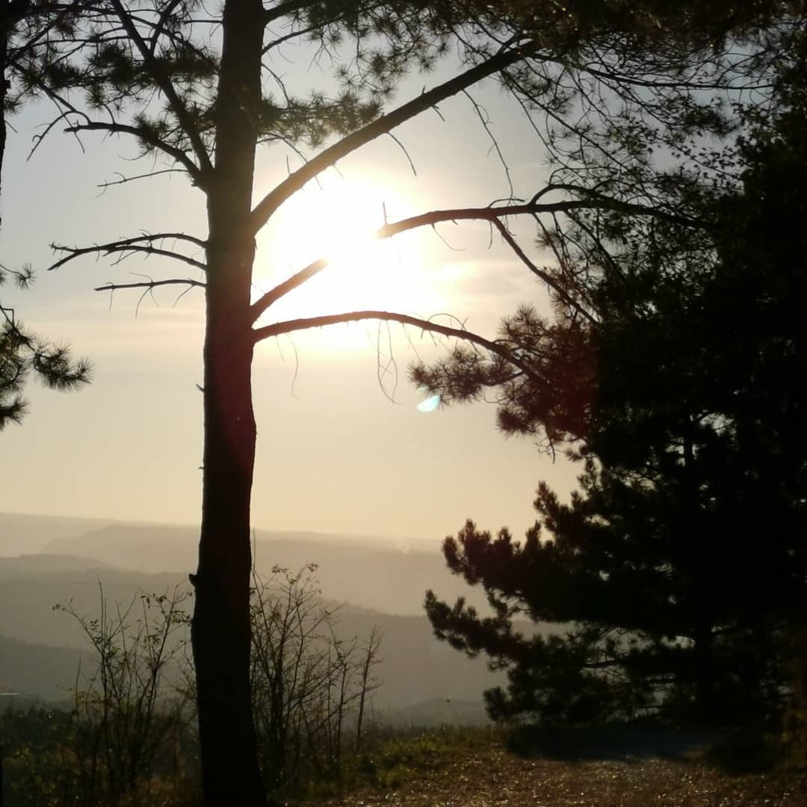 Oleg Andreev | Санкт-Петербург