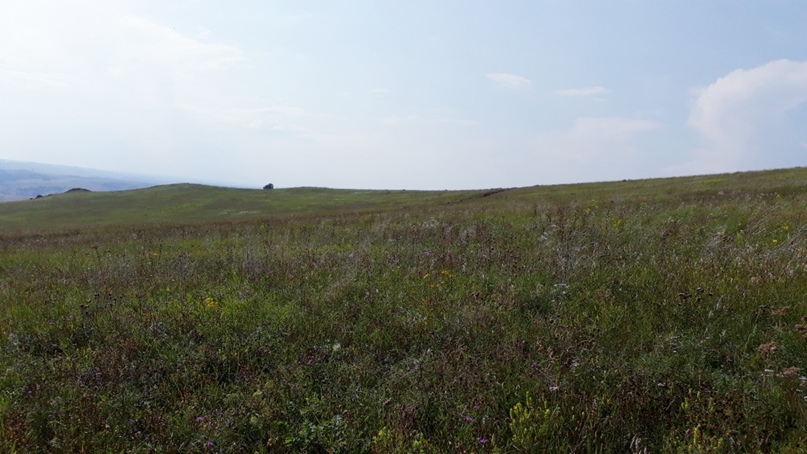 Виктор Ефимов | Москва