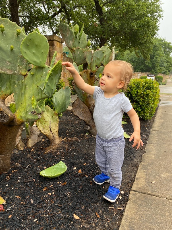 Елизавета Николаева | Санкт-Петербург