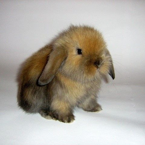 Анна Филинова | Рыбинск