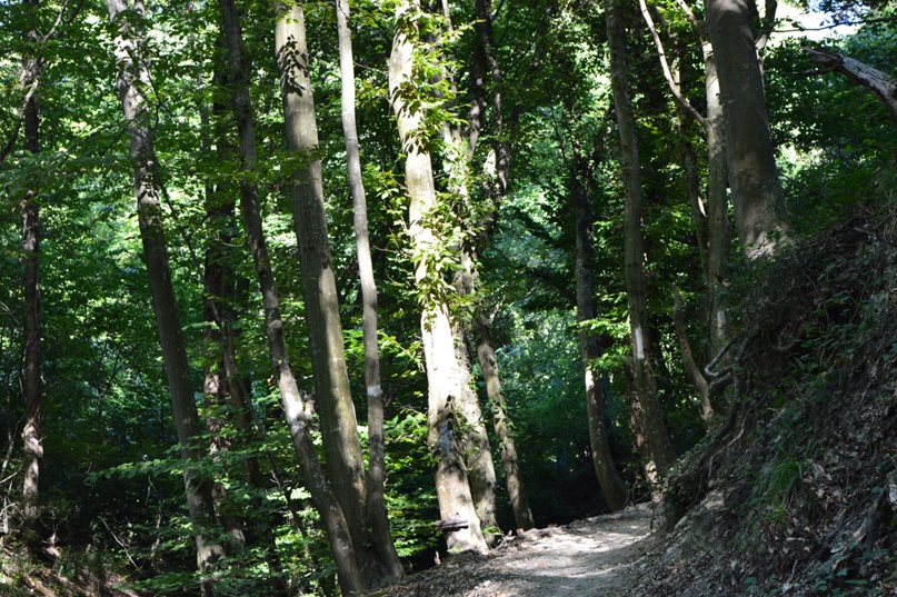 Михаил Коваленко | Оренбург