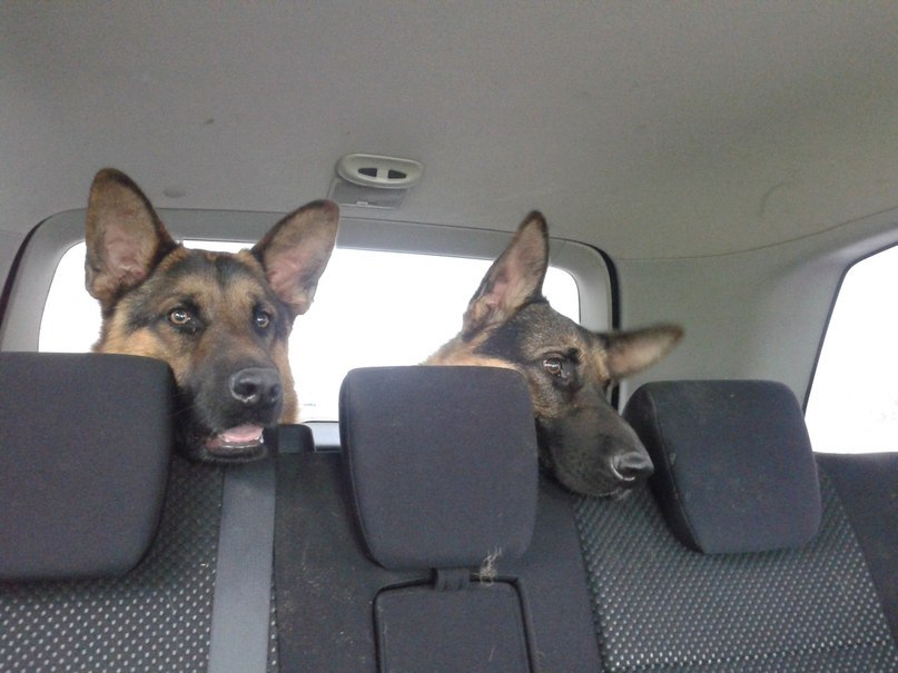 Рузель Гайсин | Ижевск