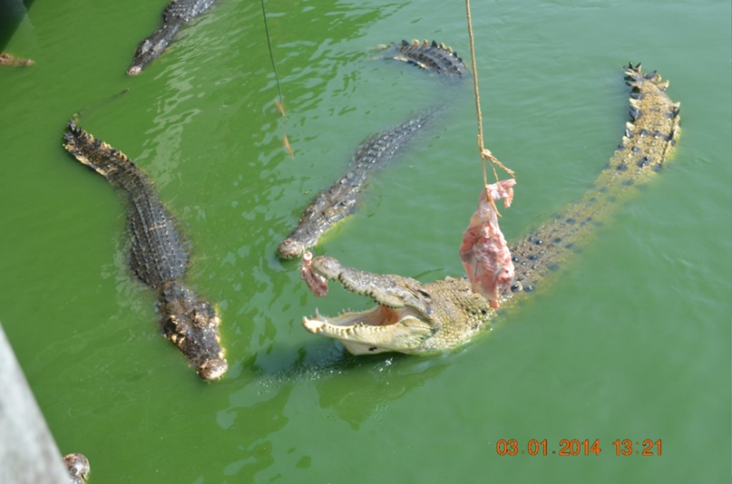 Макс Парамонов | Астрахань