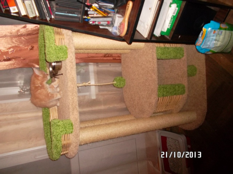 Никита Яровой П$I)( | Санкт-Петербург