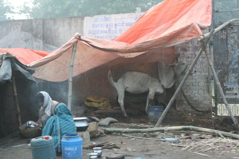 Михаил Сычев | Волгоград