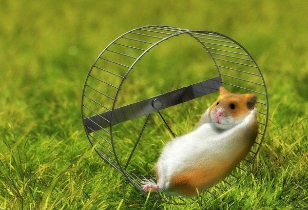 Илья К. | Кишинев