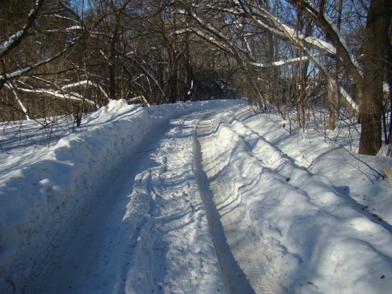 Евгений Жарков | Нижний Новгород