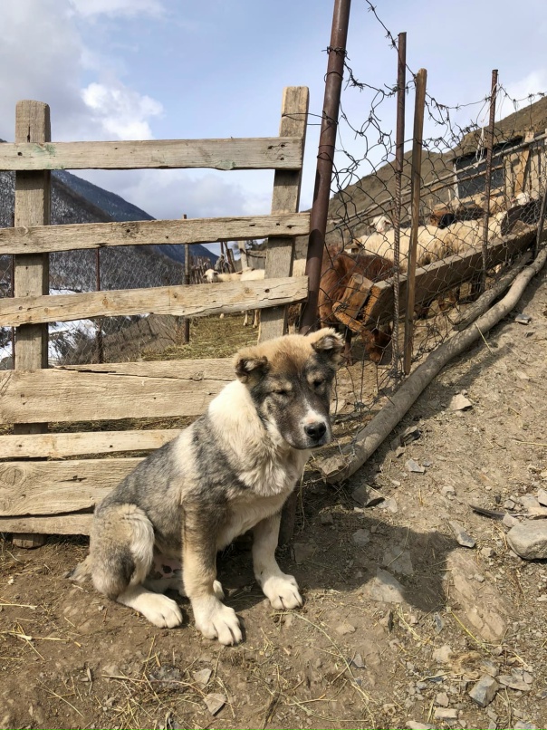 Ксюша Кулешова | Ростов-на-Дону
